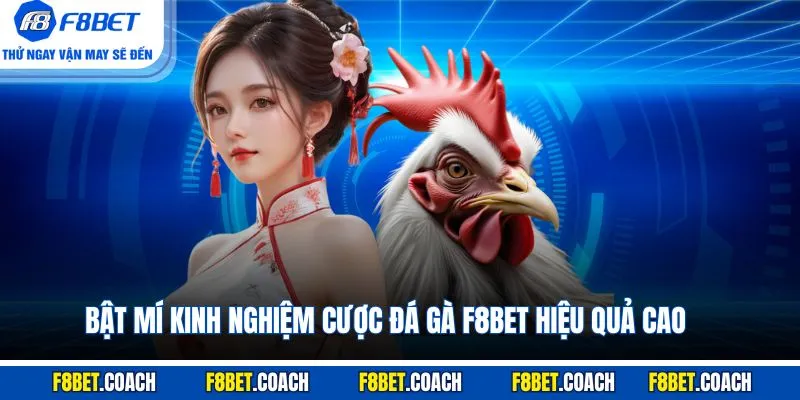 Bật mí kinh nghiệm cược Đá Gà F8BET hiệu quả cao