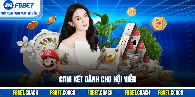 Trang chủ 16 Cam kết dành cho hội viên
