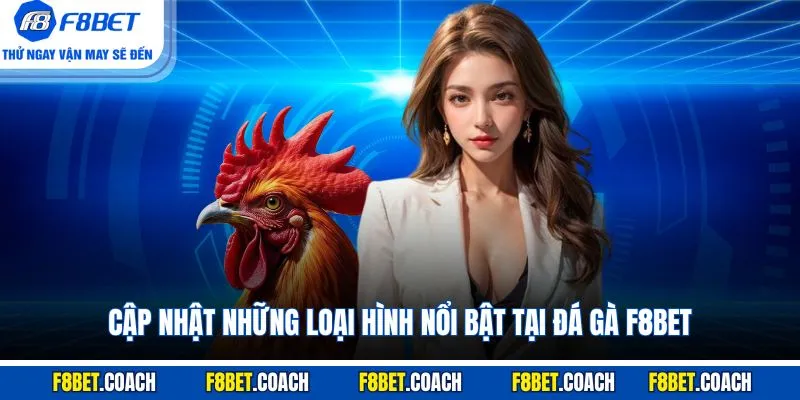 Cập nhật những loại hình nổi bật tại Đá Gà F8BET