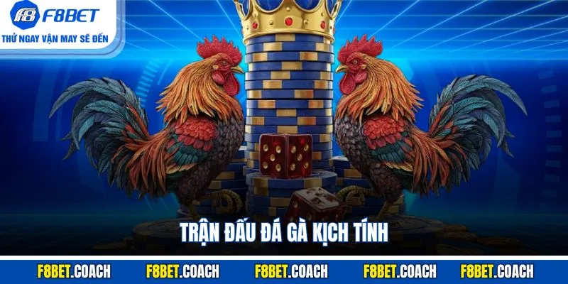 Trang chủ 20 Trận đấu đá gà kịch tính